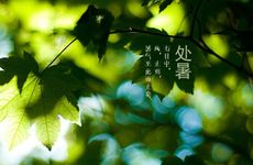 处暑时节的传统活动有哪些