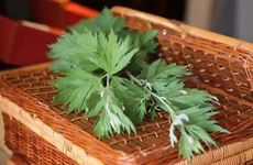 端午节为什么要喝雄黄酒