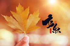 立秋前后种什么菜合适 白菜,空心菜,大葱