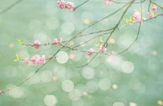 龙抬头吃啥 二月二龙抬头吃什么有讲究吗