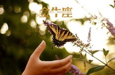 金牛座鼠女最佳结婚年龄与配偶选择