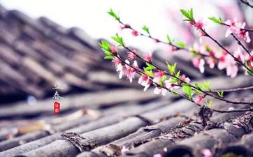 梦见风景