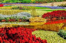 2023年躲春可以玩手机吗 2023年躲春能看电视吗