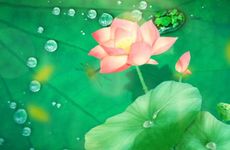 2024年什么时间进伏 三伏天的冰块 夏至到秋分