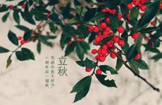 2023年立秋是几点几分 2023年立秋天干地支