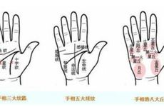 额头明亮的人是否真的很喜欢多管闲事