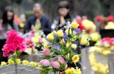 梦见绿萝长的很茂盛是什么意思