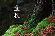 2022立秋要吃啥 2022立秋节气吃什么食物