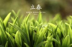 梦见槟榔怎么回事 梦见槟榔有什么预兆