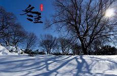 梦见亚当 夏娃怎么回事 梦见亚当 夏娃有什么预兆