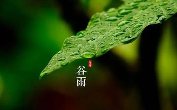 2022年什么时候谷雨 2022年谷雨具体时间