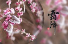 霜降进补 来年打虎是什么意思?2024霜降节气吉时查询