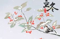 2022年11月7日立冬节气老黄历宜忌 今天是什么日子