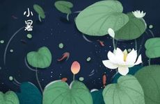 从不轻易低头天生傲骨的星座