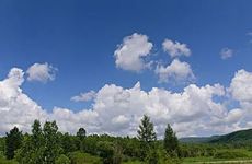 理发店店名店名大全