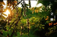 2023年立秋过后还会热多久