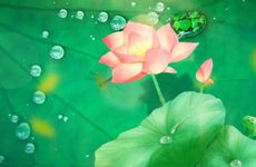 夏至节气的民间习俗及传统食物