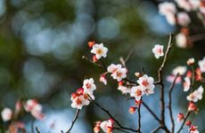 充满古风的网名大全