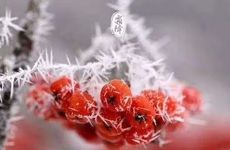 2022年霜降时间几点几分几秒 霜降的习俗