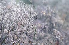 立冬吃什么食物养生 立冬节气饮食注意事项