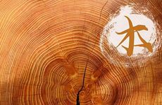 孕妇梦见一群狗是什么预兆?