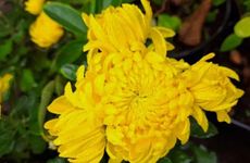 清明节到了，了解一下地狱的“十殿阎君”