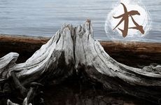 路旁土命和杨柳木命在一起婚配合适吗？杨柳木命桃花旺盛