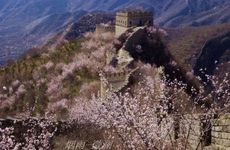 梦见买点心 吃点心怎么回事 梦见买点心 吃点心有什么预兆