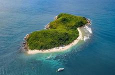 鼠年客厅摆放什么花最吉利 客厅绿植怎么摆放最招财