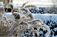 2023年大寒一共多少天？