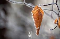 大寒农村老谚语有哪些说法