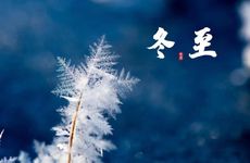 梦见大风吹大树怎么回事 梦见大风吹大树有什么预兆