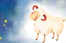 白羊座2024年提运指南8月状况