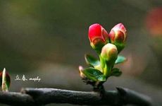 2024年两个立春时间 2024为什么有两个立春