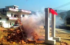 七月十五坟墓上的草可随便割掉吗