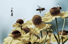 梦见小时候的人和环境是什么意思