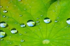 白露节气推拿的好处 推拿手法盘点