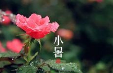 小暑节气的民俗及养生食物