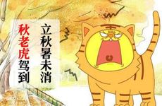 什么时辰的老虎最凶