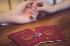 北方客厅摆放什么植物最好 鸿运当头花叶繁盛