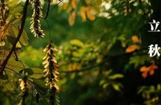 星座风和土相生还是相克 土象男会被风象女吸引吗