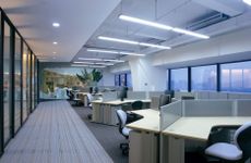 办公室适合放太多的绿植吗,放多了会物极必反吗