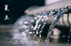 坟墓前种什么树旺子孙