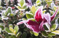 24节气寒露农谚 寒露节气经典谚语