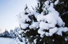 大寒节气习俗有什么