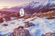 冬至时期吃什么是最好的?