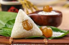 比熊名字大全 洋气的