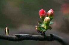 立春到来不躲春有什么后果？