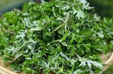 2023年端午节怀孕预产期是什么时候