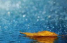 雨水男女同房为何易怀孕?